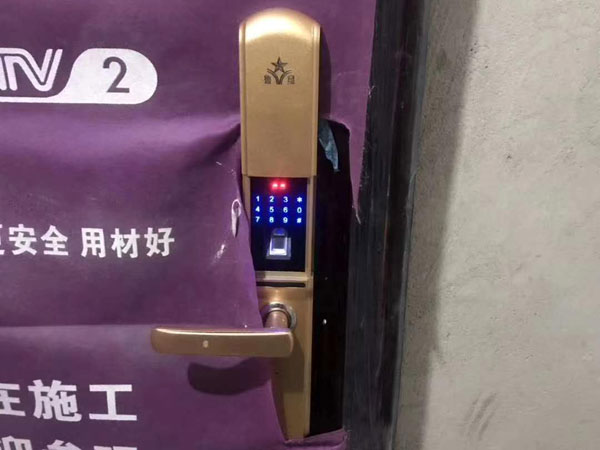 室内指纹锁安装